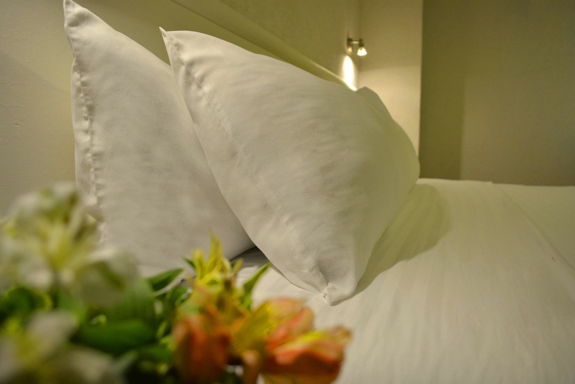 סמורה דה הידאלגו Eco Express Hotel Zamora מראה חיצוני תמונה