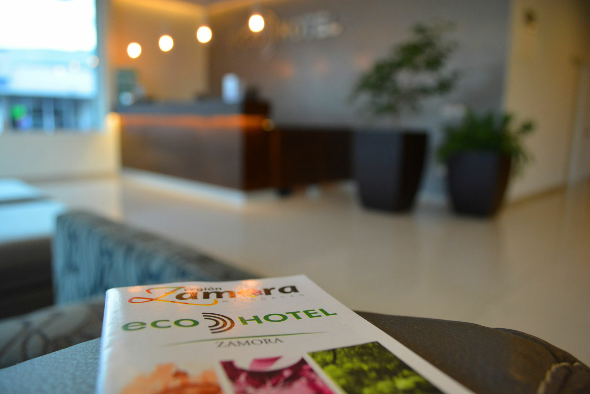 סמורה דה הידאלגו Eco Express Hotel Zamora מראה חיצוני תמונה